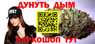 молекула духа Будённовск