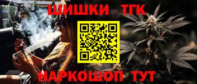 молекула духа Будённовск