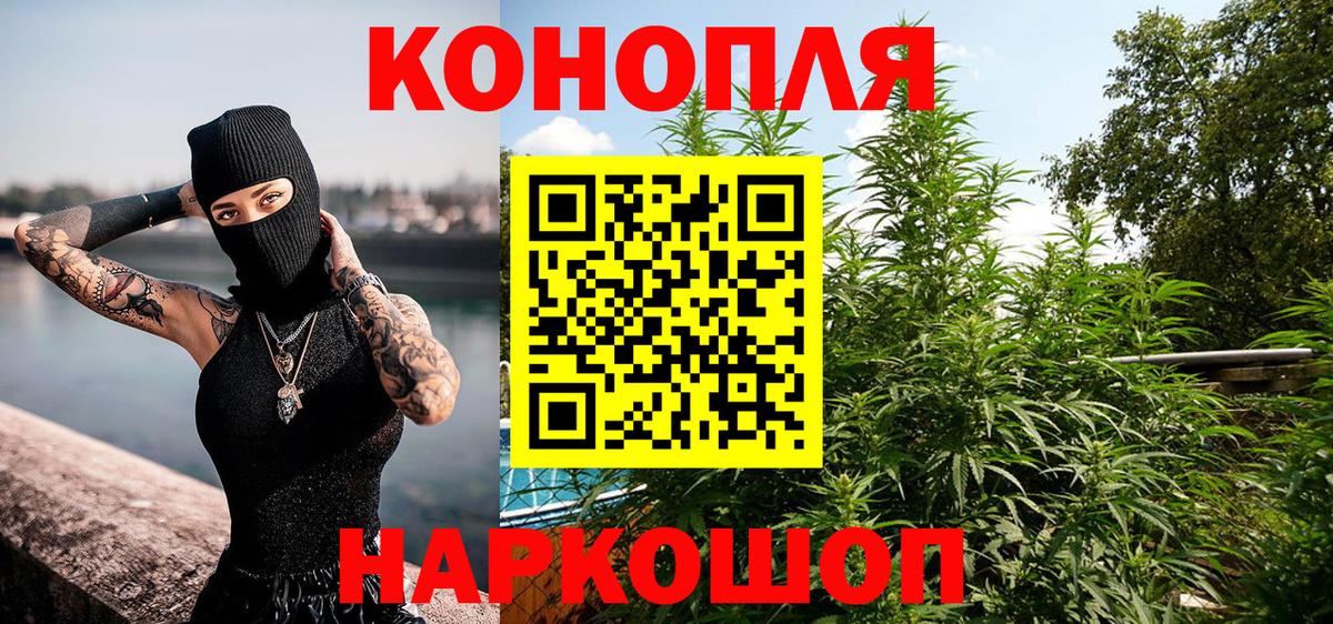 Шишки марихуана гибрид Будённовск